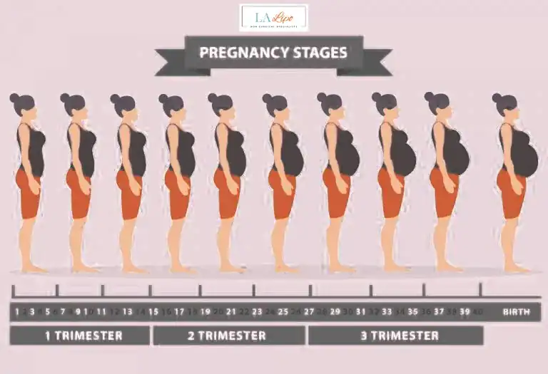 First Trimester (Weeks 1–12): Early Changes You Might Not Notice Huddersfield